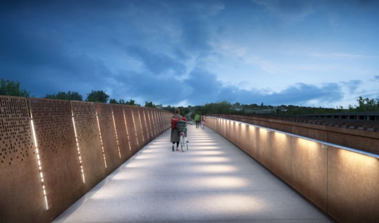 ped view east night saltley v02 Rowan mirror-4500x2648-0264c09: ped view east night saltley v02 Rowan mirror-4500x2648-0264c09