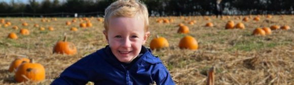 Pumpkin Patch Trailer Tours at Lotherton