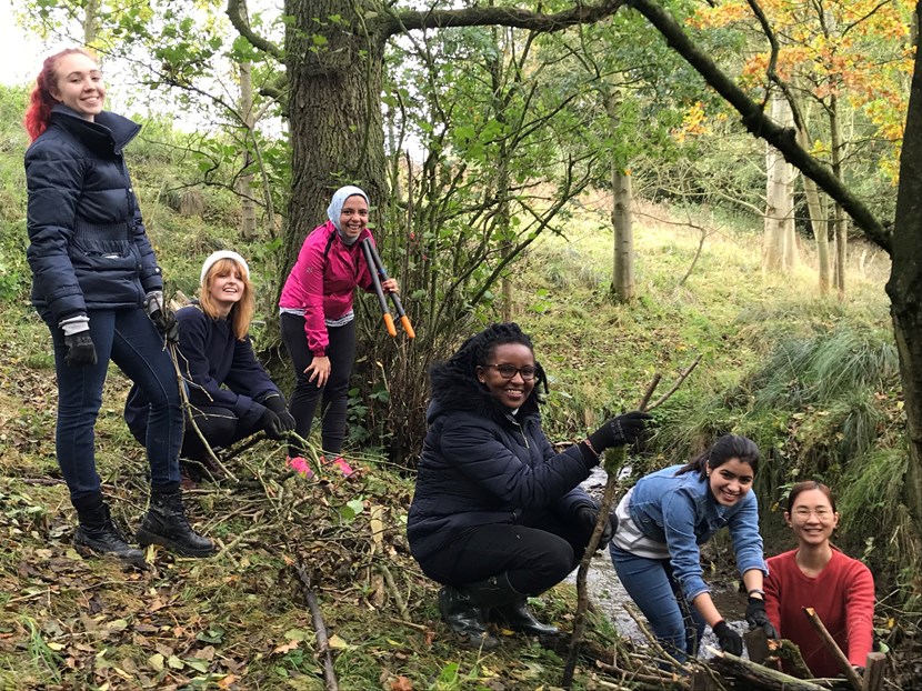 Trees planted in natural flood management pilot: eshtonbeckmikeleonardleedsuniversity-215340.jpg