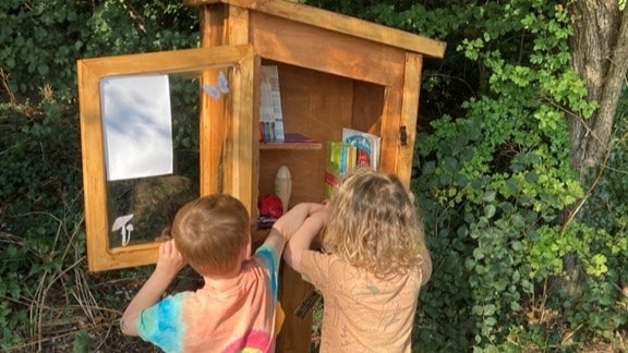 Childhood literacy initiative brings outdoor libraries to Croydon parks with support from SES Water: ParkBox1 landscape-2