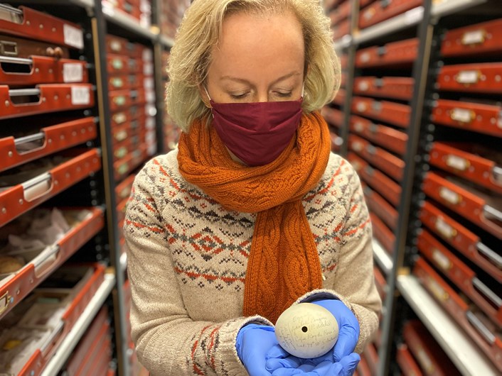 Penguin on ice: Clare Brown with the The Adélie penguin egg collected by famed explorer Ernest Shackleton during one of his historic expeditions to the Antarctic and which is also part of the Leeds collection.