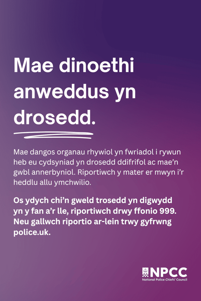Sticker Welsh (1)