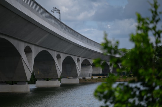 View of Colne Valley viaduct as it crosses Savay Lake (June 2025) 00002
