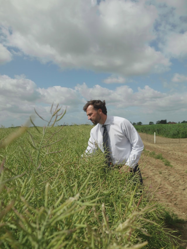 Andrew Hill reviews oilseed rape markets and opportunities