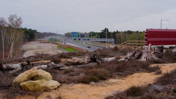 The UK's first ever heathland bridge