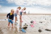 pembrey 62: pembrey 62