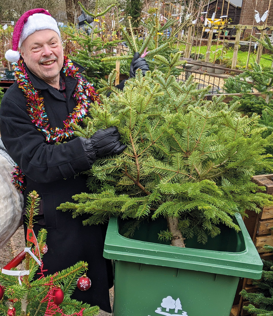 Cllr Andy Moore - Christmas tree recycling