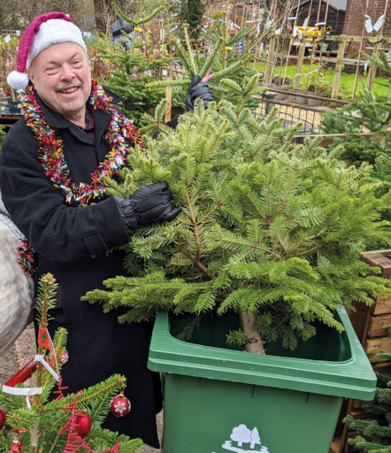 Cllr Andy Moore - Christmas tree recycling