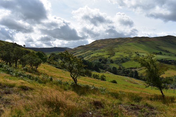 wales-farmers-nrw-s-price-hikes-for-regulation-unacceptable-in-current-climate