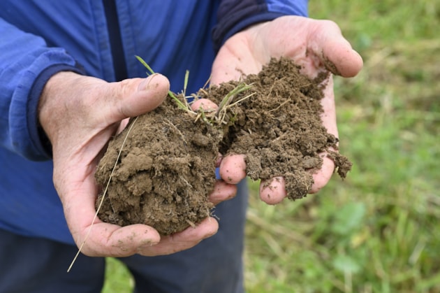 Good soil health at Easter Rattray Farm, Strathmore near Blairgowrie