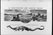 Loch Ness postcard: Loch Ness postcard