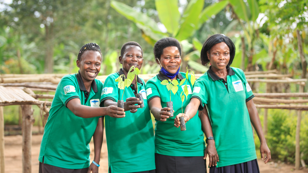 Mbale tree planting3