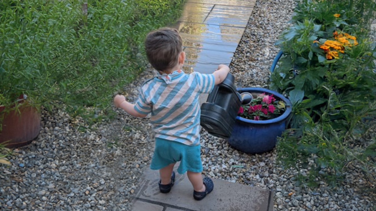 *James, watering a plant in the garden