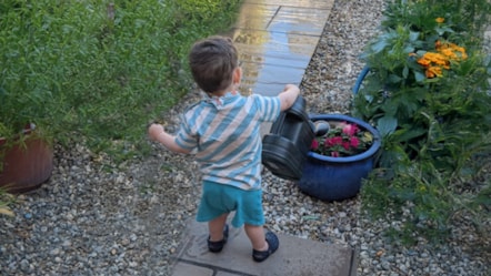 *James, watering a plant in the garden