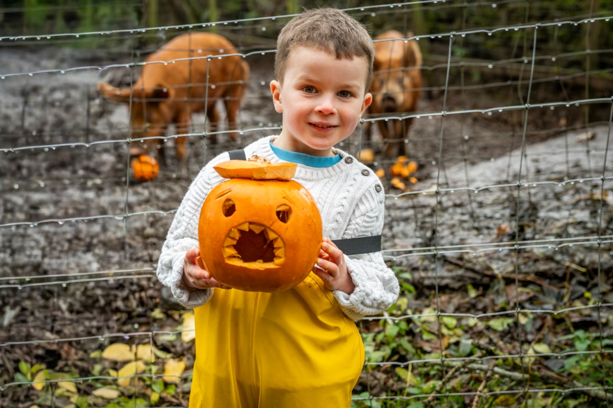 Arlo Cook (age 5) at the National Museum of Rural Life. Photo © Andy Catlin 3