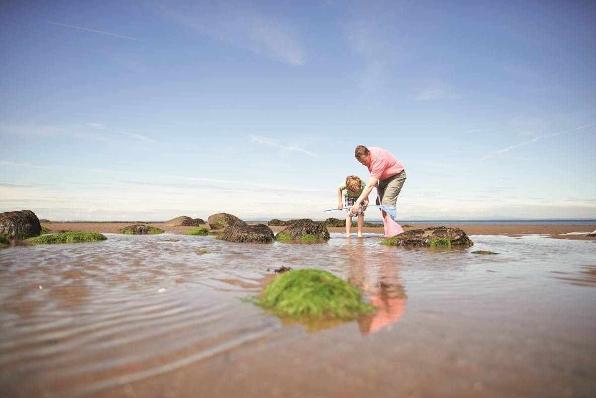 Rock Pooling at Seton Sands