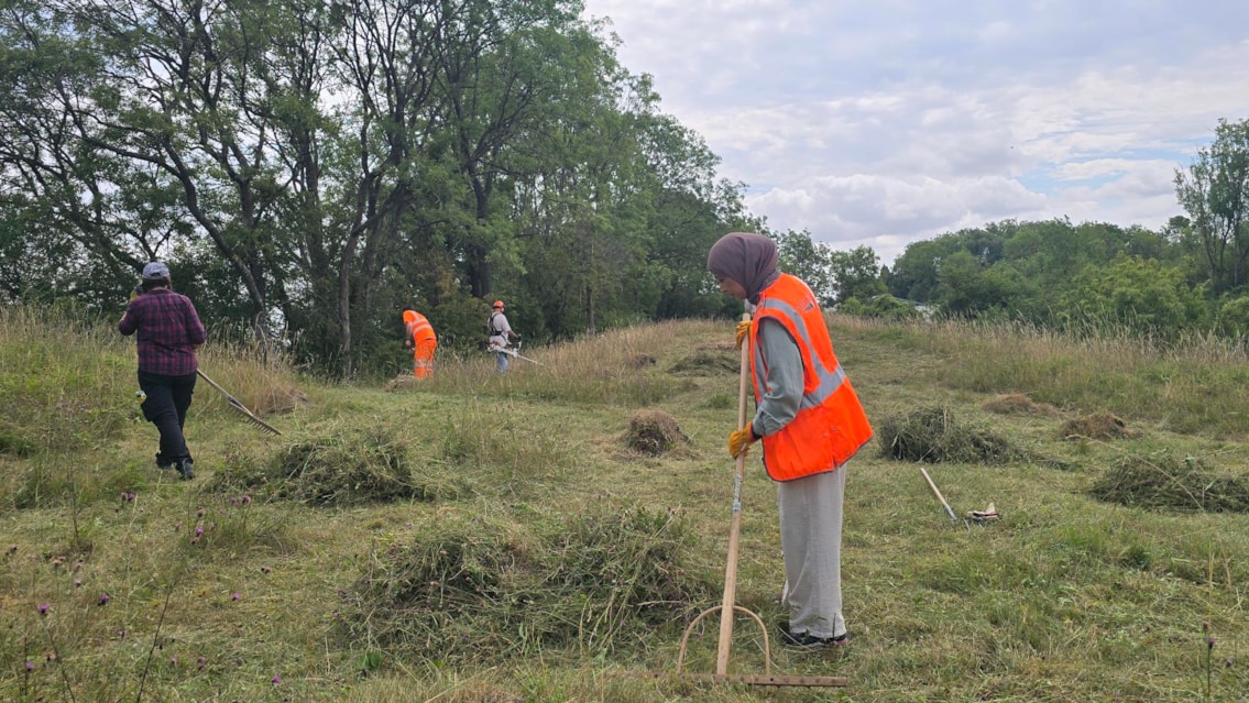 Laying green hay at Harbury-3