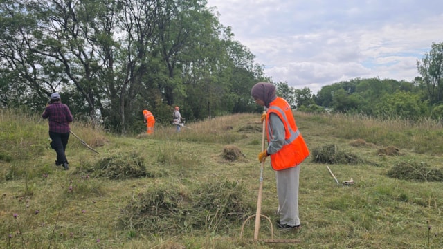 Laying green hay at Harbury-3: Laying green hay at Harbury-3