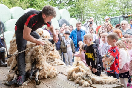 Cammy Wilson in action at the National Museum of Rural Life.  Photo © Ruth Armstrong (1)