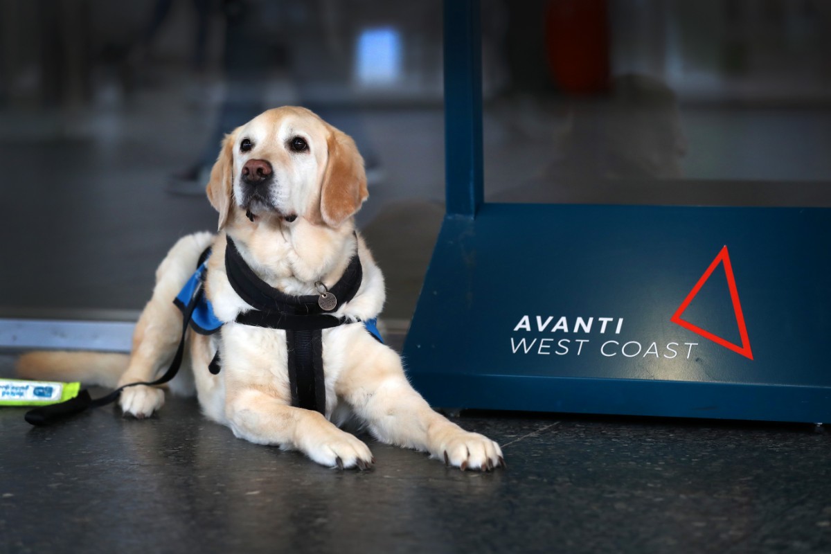 Avanti West Coast welcomed Ambassador dogs from Guide Dogs to its stations to raise aware of the charity's work