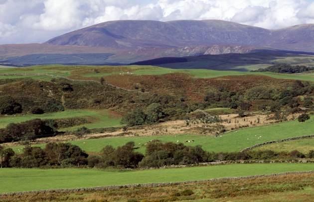 Cairnsmore ©Lorne Gill/NatureScot: View north over farmland looking towards Cairnsmore of Fleet NNR. Dumfries and Galloway. ©Lorne Gill/NatureScot