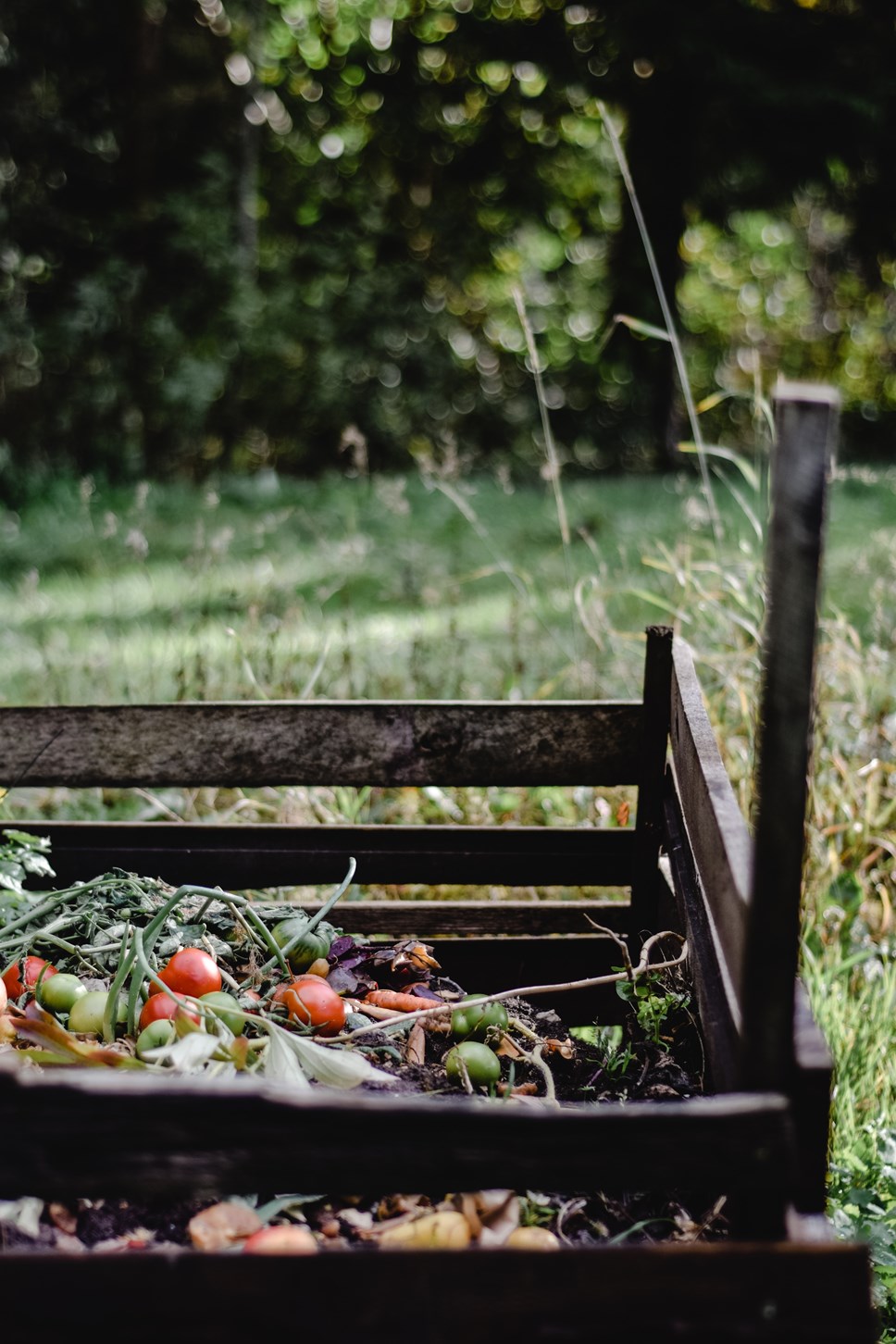 Composting vegetables