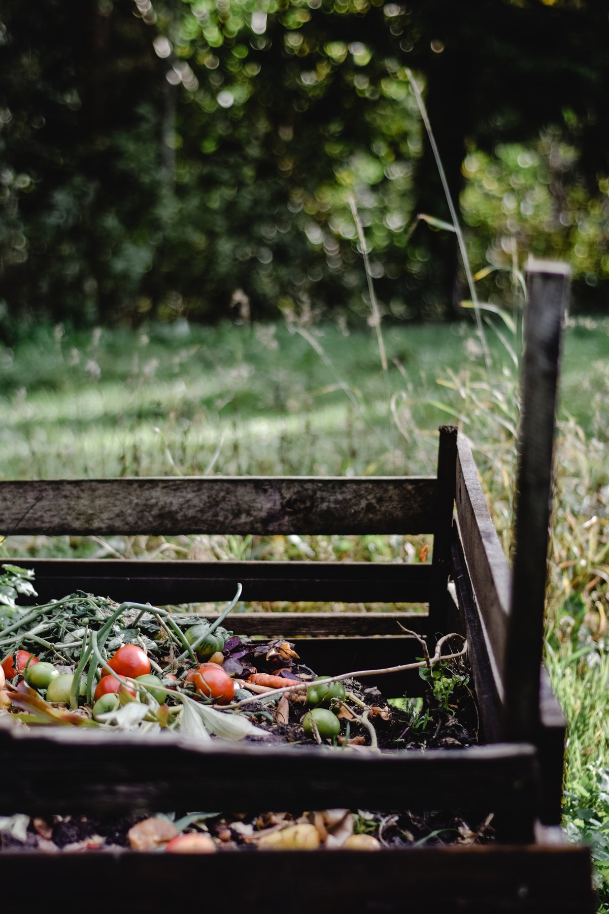 compost bin