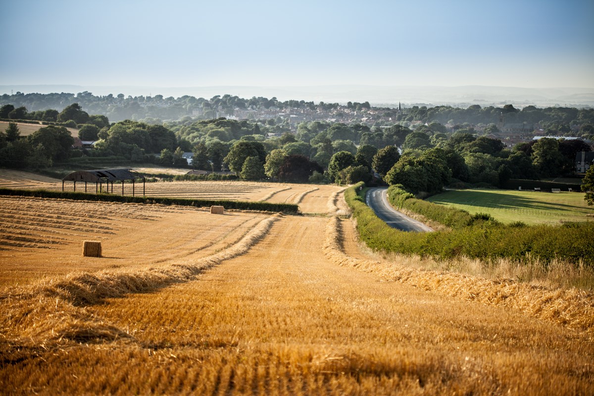 Malton and Menethorpe