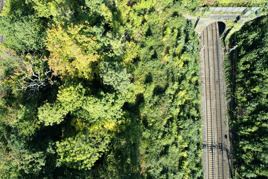 Aerial-railway-vegetation