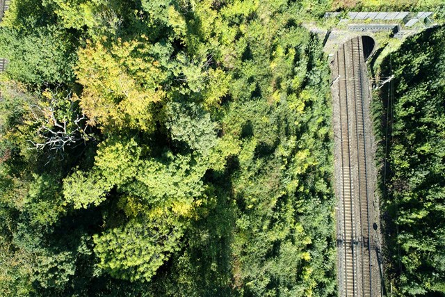 Green milestone reached as half of Network Rail suppliers commit to reducing their carbon footprint: Aerial-railway-vegetation