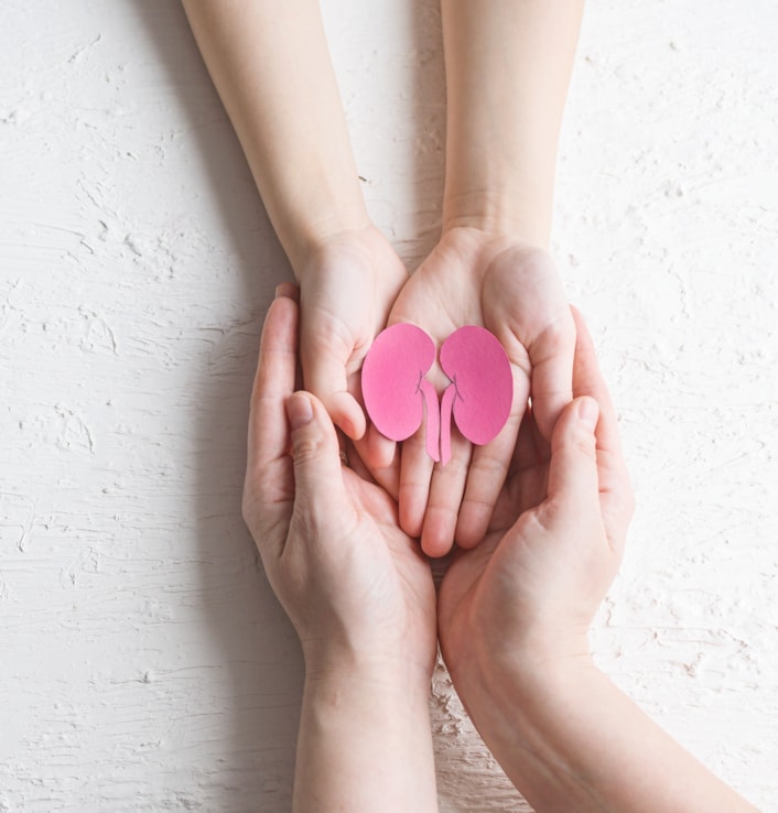 Kidney donor appeal: Image shows a child's hands holding a paper cut out of kidneys, cupped in an adult's hands