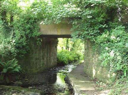 Railway encroached by vegetation on Amlwch