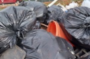 Litter 2026: Litter 2026