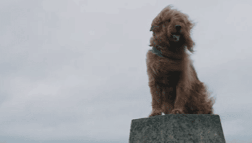 BBC Storyworks - Scotland 2025 - Hero Film- 16:9