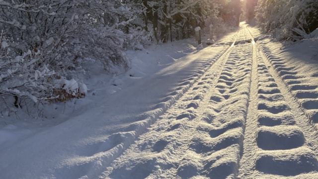 Storm Bert to cause disruption across Scotland’s Railway this weekend: Ardgay snow