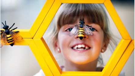 Caela Callander (7) examines geometric honeycomb ahead of Maths Week Scotland 2025. Photo © Paul Dodd 6