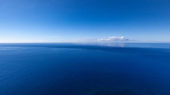 Decline in plankton across North East Atlantic sends stark warning for ocean health: Atlantic Ocean-3