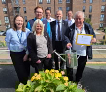 In Bloom Winners 2025 - Rochester: In Bloom Winners 2025 - Rochester