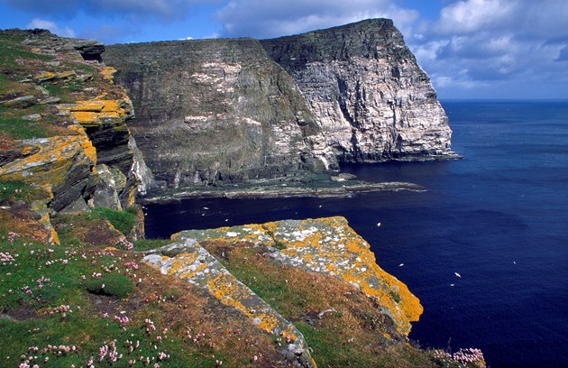 Noss National Nature Reserve, Shetland ©Lorne Gill/NatureScot