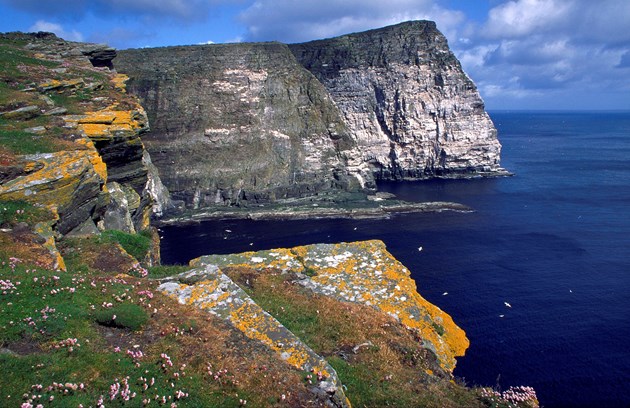 Noss National Nature Reserve open to the public: Noss National Nature Reserve ©Lorne Gill/NatureScot