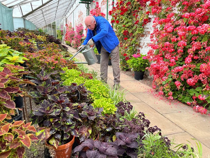 Temple Newsam hothouse: Volunteer gardener Steve Ball tends to the hothouse's stunning national collection of Coleus, grown for their colourful patterned leaves, and have even developed around 20 new varieties including one called “Temple Newsam”.