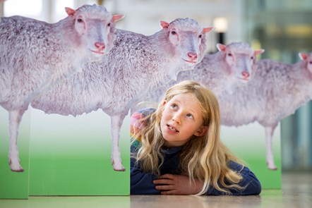 Edinburgh school pupil Connie Blacklaw (8), checks out a Dolly the Sheep-themed trail at the National Museum of Scotland, part of the programme for Maths Week Scotland, which starts today (Monday 25 September)-2 credit Duncan McGlynn