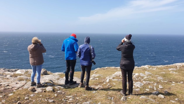 The Outer Hebrides Wildlife Festival 2025 programme is here - surf and snorkel safaris, boat trips, wildlife walks, creative workshops and more!: (c) HWDT