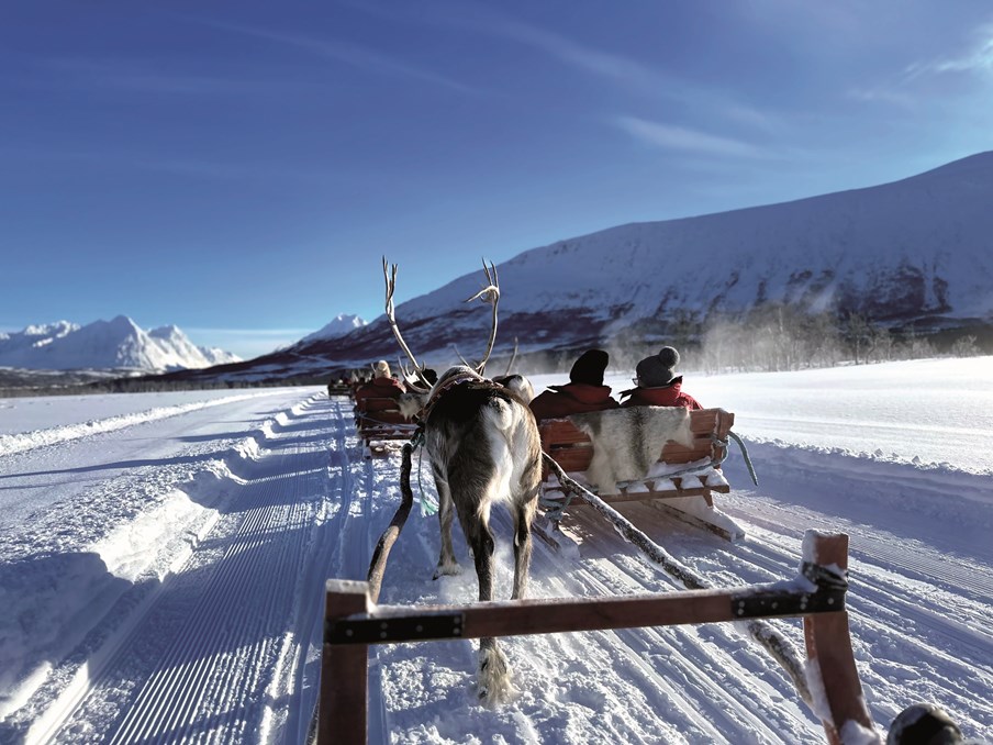 SHP Reindeer Sledding EXT 19512