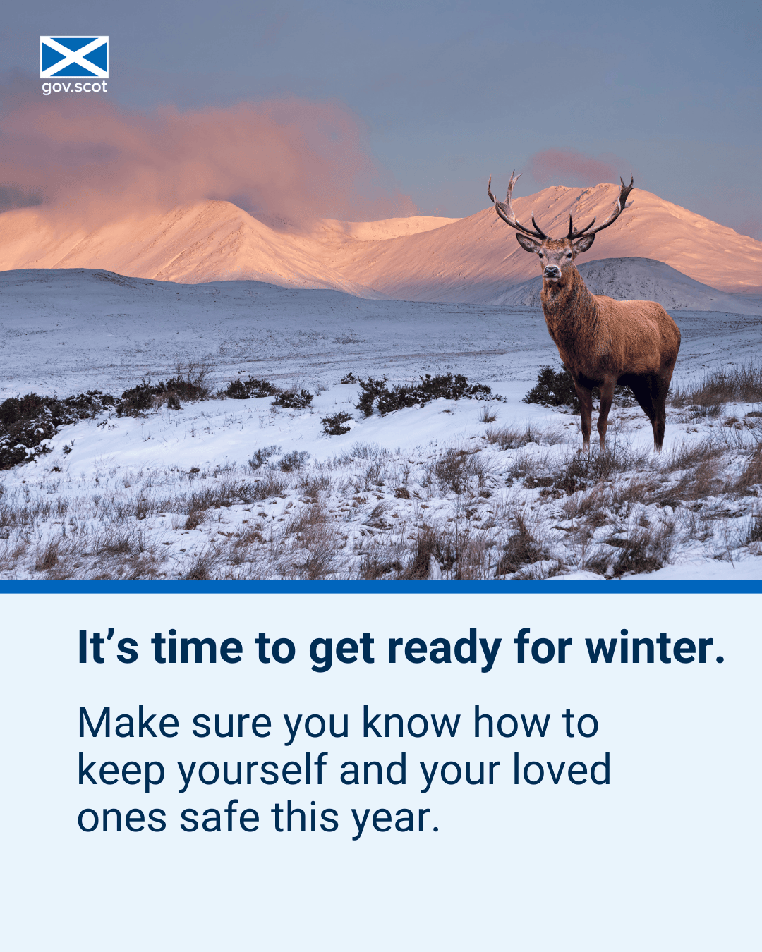 Deer - Portrait - Winter - SG Resilience - November 2025