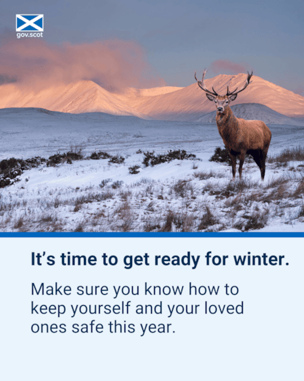 Deer - Portrait - Winter - SG Resilience - November 2025