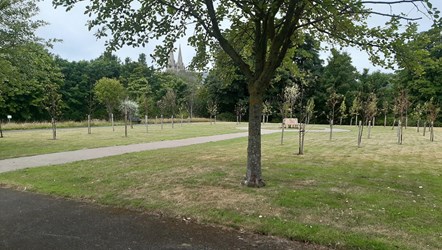 Buckie Community Orchard