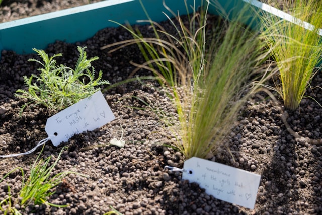 Manchester Piccadilly station sanctuary-5: Manchester Piccadilly station sanctuary-5