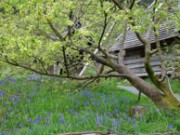 Pic 3 - Small Community Woodland Group winner and overall Community Woodland Award winner of the Tim Stead Trophy in 2022 was Taliesin Community Woodland, near Castle Douglas: Pic 3 - Small Community Woodland Group winner and overall Community Woodland Award winner of the Tim Stead Trophy in 2022 was Taliesin Community Woodland, near Castle Douglas