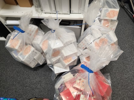 Counterfeit Labubu dolls that were seized